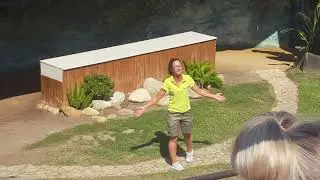 Parottt show Maureen land