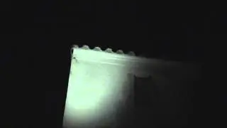 Eumops Exit