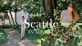 Seattle in August | Sunny weather ☀️, Summer concerts 🎵,  Ocean views  🌊