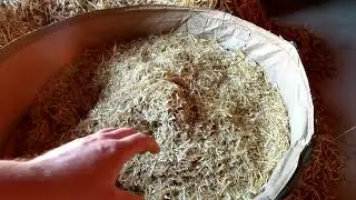 Strohaufbereitung mit Strohm&uuml;hle und EM Benebelung, neues vom Weberhof