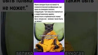 #смех #приколы #юмор #мем