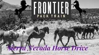 COWBOY UP | FRONTIER PACK TRAIN HORSE DRIVE | Sierra Nevada Pack Adventure