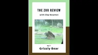 Zoo Review Ep 1: Grizzly Bear