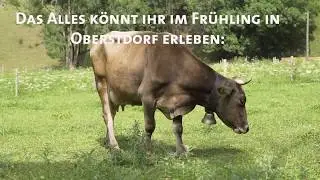 Oberstdorf im Fr&uuml;hling