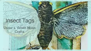 Junk Journal | Mixed Media | Tim Holtz Insect Tag Inspiration