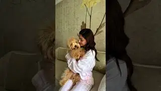 💕A day in the life of #ananyapanday #petlove #bae #shorts