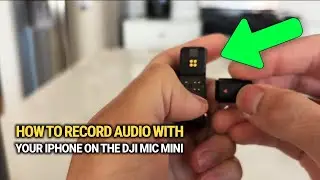 Как быстро и легко записать звук с помощью микрофона DJI Mic Mini на iPhone!