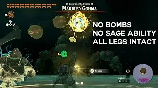 Fighting Marbled Gohma Without Breaking its Legs (Depths Rematch)