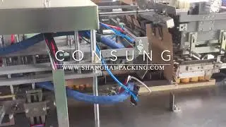 wrap around carton machine for can