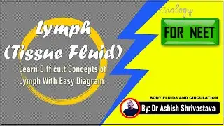 Lymph/ Tissue fluid