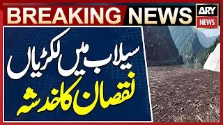 Malakand Power Station at Risk as Flood Brings Logs