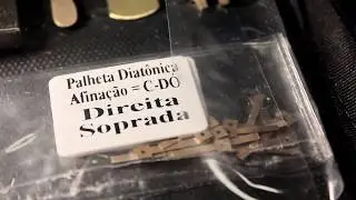 Kit de Manuten&ccedil;&atilde;o para Gaitas de boca Hering
