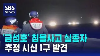 '금성호' 침몰사고 실종자 추정 시신 1구 발견 / SBS