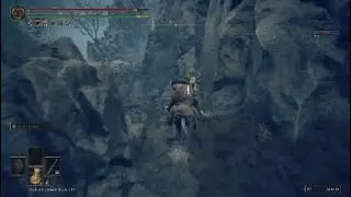 How to get to Darklight Catacombs from Scadu Altus - Skip Hippo & Defeat Hippo path to Abyssal Woods