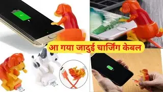 dog charging cable । कुत्ता चार्जिंग केबल
