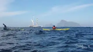 St Kilda via Tall Ship, the 'Lady of Avenel'