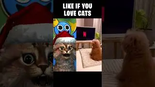 когда Netflix в 4D качестве 😱 #шорты