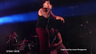 STRAY VIEW - ESCAPE - HOB Anaheim