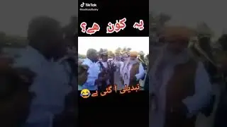 Maulana diesel