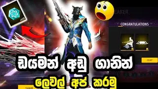 අලුත්ම m60 අරන් ලෙවල් අප් කරමු | free fire m60 new evo gun full review 2026