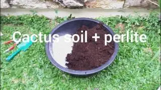 How To Create Succulent Community Pot