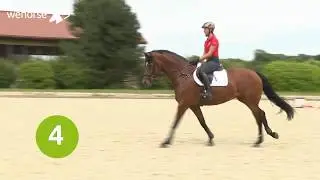 Springreiten lernen - so k&ouml;nnen Cavaletti dir helfen | Eva Deimel