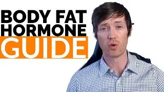 Body Fat Hormone Guide - What Your BODY FAT Tells You About your Hormones