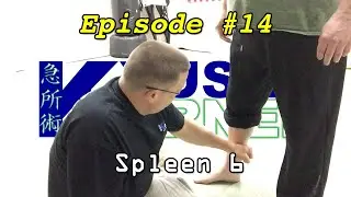 Kyusho Korner&trade; Ep. 14 - Spleen 6