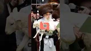 Pidyon Peter Chamor By Satmar Rebbe R&rsquo; Aaron - Chol Hamoed Pesach 2025 | פדיון פטר חמור בחצה&rdquo;ק סאטמר