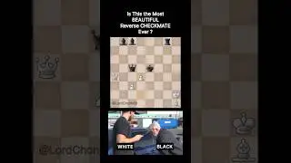 Self CHECKMATE - from brilliant to blunder #chess #shorts #viral #checkmate #magnuscarlsen #fyp