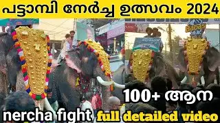 Pattambi Nercha festival 2024 live | പട്ടാമ്പി നേർച്ച ഉത്സവം 2042 | #pattambinercha #festival