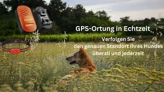 STUNGI GPS HUNDETRACKER