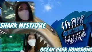 SHARK MYSTIQUE | OCEAN PARK HONGKONG | Juvs Tv