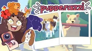 Becoming a PUPPER-AZZI Photographer?!  🐶📸 Pupperazzi &bull; #1