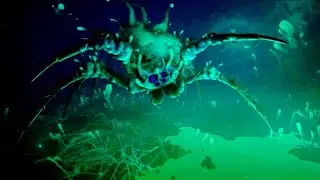 Grounded Infected Broodmother Boss Fight  | Medium ( Without Shield )