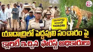 యాదాద్రి జిల్లాలో పులి సంచారం.. ఫారెస్ట్ అధికారుల క్లారిటీ.. | Big Tiger Roaming In Yadadri Dist