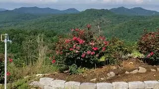 Smoky Mountains Tennessee