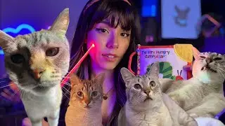 ASMR But My Cat Keeps Interrupting 🐱🩵 (chill ASMR otherwise)