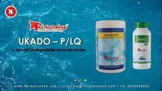A natural biodegradable amonia binder for fish and shrimp | Ukado P/LQ   | Finray Biotech
