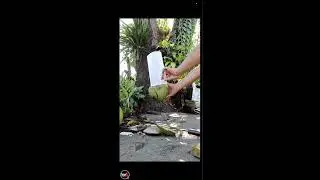 How to open coconut in easy way