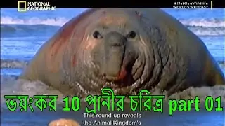 10 dangerous animals Part 01,ভয়ংকর 10 প্রানীর চরিত্র,National Geographic Bangla