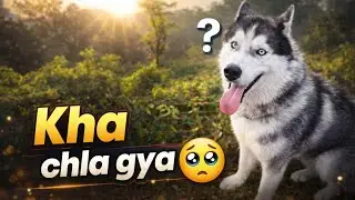 Mera leo ghar se bagh gya 🥺😱