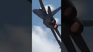 F/A-18C Legacy Hornet can do it too!? Amazing maneuverability for a fighter from the 80s