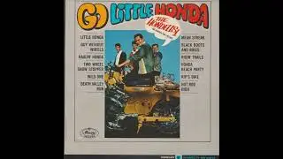 The Hondells - The Wild One (Digitally Extracted Stereo Remix) 24-bit Linear PCM upload