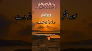 #youtubeshort #duet #lifeisbutadream #caraccessories #carelectronics #alone #viral #trending #quran
