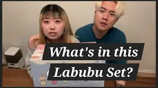 Ep120. For Science, We Opened some Labubu's. #exciting #macaron #set #labubu