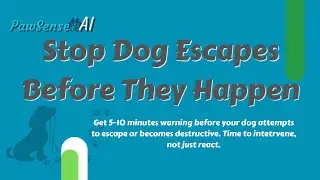 Escape Artist Doggy Nightmare? Predict it with AI!