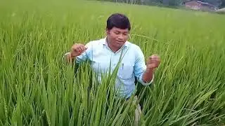 SPDM Jaiwik khad  Ka  best results....ek bar use  jarur karen..adhik  jankari  ke  liye📲 6264771311