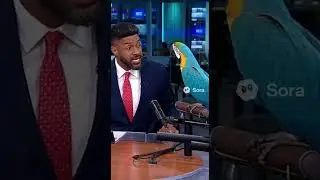 News Anchor Vs. Parrot - Funny News Blooper 2025