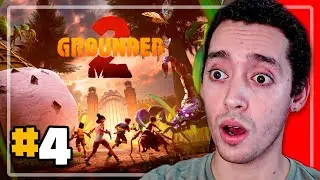 🐛 DOMEMOS UNA ARA&Ntilde;ITA - FIRTHU EN GROUNDED 2 D&Iacute;A 4 🐛